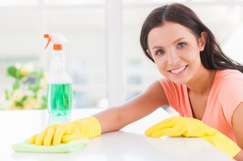 Professional oven cleaning in a Croydon home kitchen