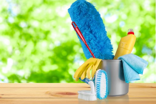 Local pet stain odour removal service for Croydon carpet cleaning