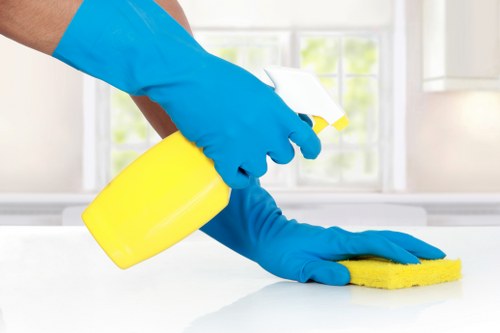Deep carpet cleaning process showing stain removal on a residential carpet