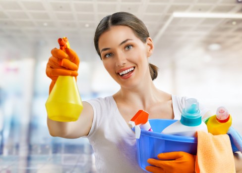 Steam carpet cleaning method section image