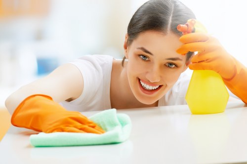 Professional pet stain and odour treatment for a mattress in Croydon