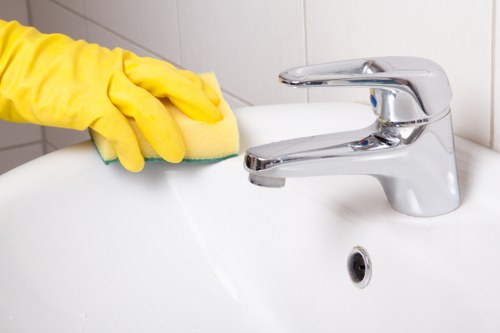 Local Croydon team carrying out a thorough property reset