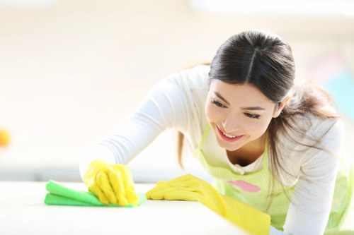 Professional cleaner discussing load-based carpet pricing