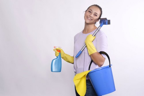 Specialist treatment for pet urine smells on upholstery in Croydon