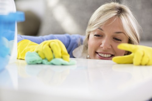 Domestic cleaner working in a Croydon kitchen and living space