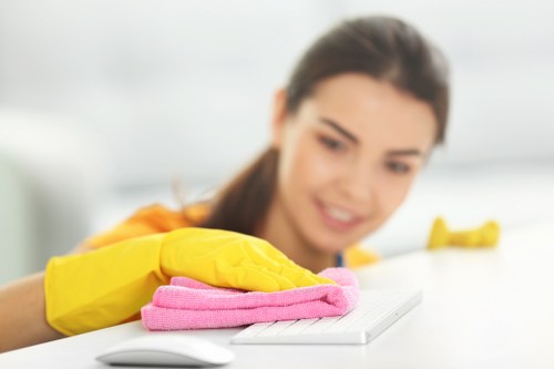 Regular domestic cleaning support for busy households in Croydon