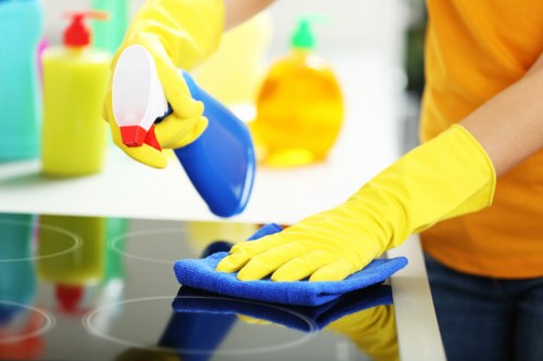 Croydon upholstery cleaning for residential and commercial furniture